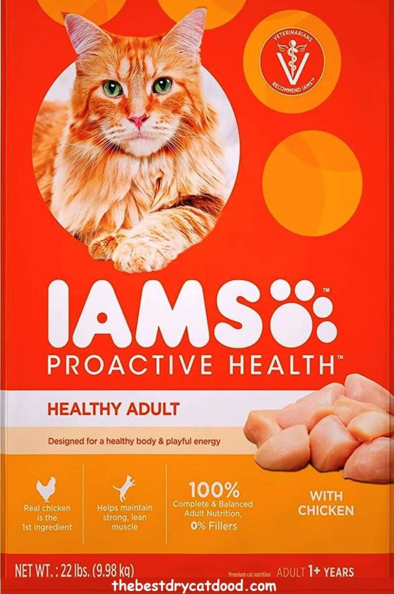 Iams Dry Cat Food Reviews Exclusive Analysis & Full Buying Guide