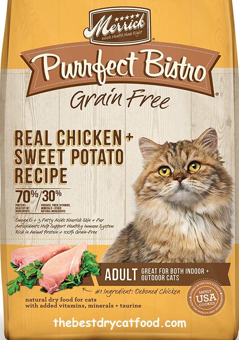 Best Grain Free Dry Cat Food 2024 Latest Reviews Never Seen Before