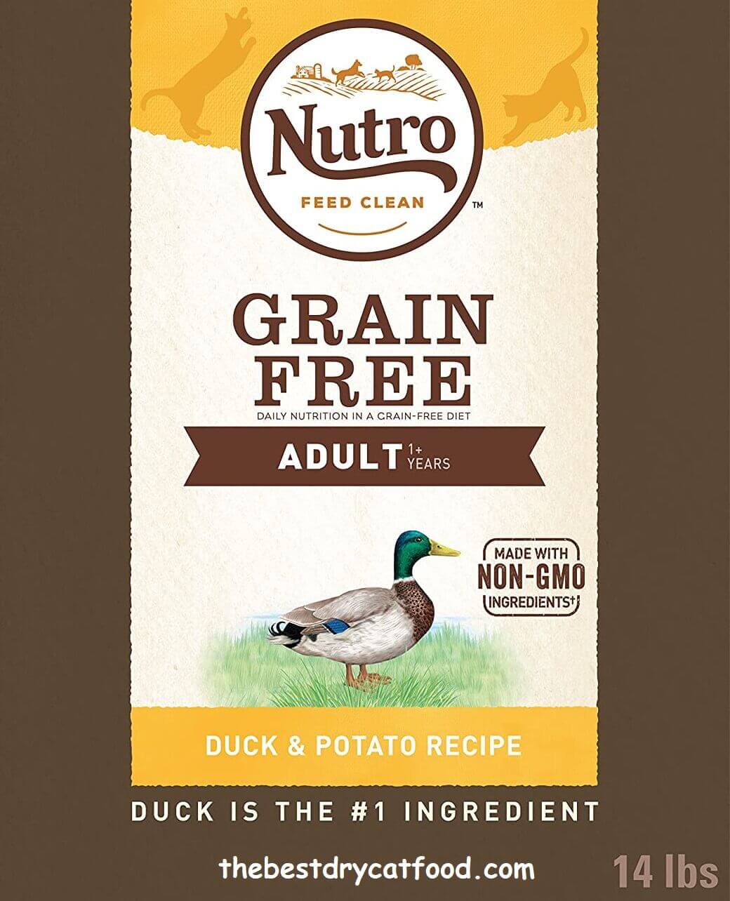 Best Grain Free Dry Cat Food 2024 Latest Reviews Never Seen Before