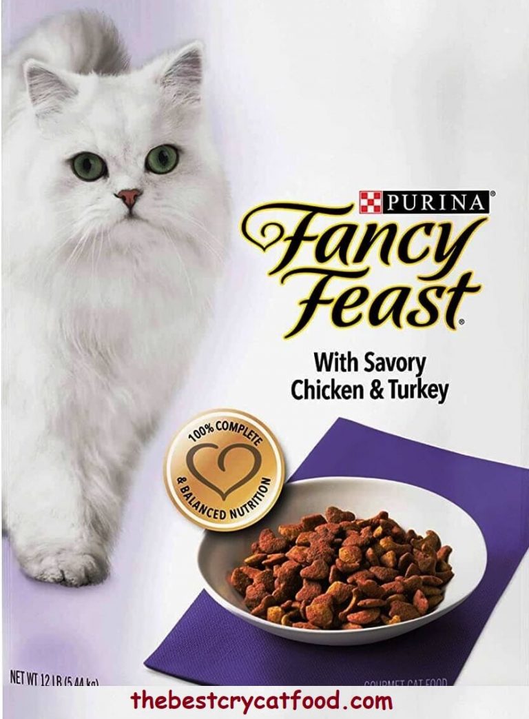 purina-fancy-feast-dry-cat-food-reviews-exclusive-analysis