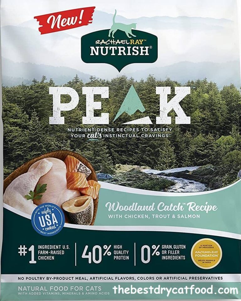 Best Grain Free Dry Cat Food 2024 Latest Reviews Never Seen Before