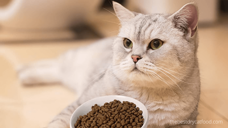 best grain-free dry cat food