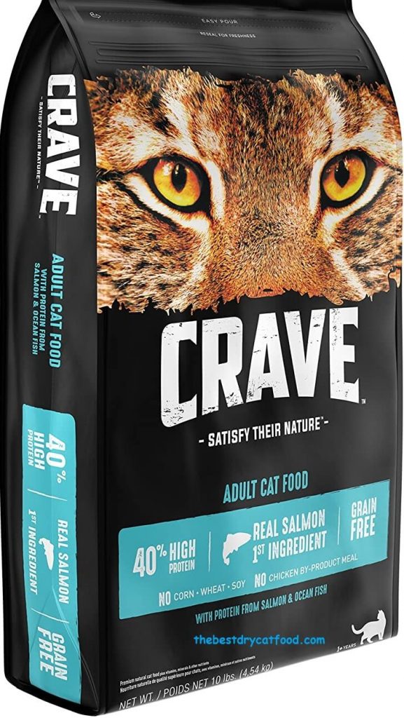 Best High Protein Dry Cat Food 2024 Reviews & Buyer Guide