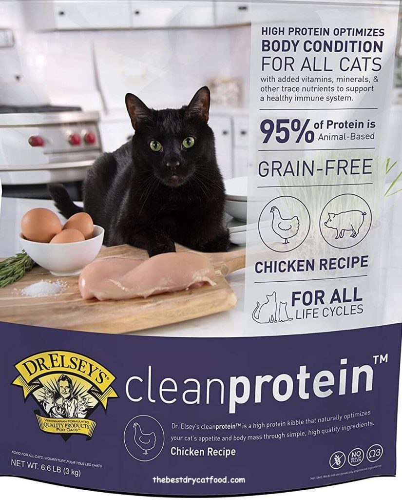 Best High Protein Dry Cat Food 2024 Reviews & Buyer Guide