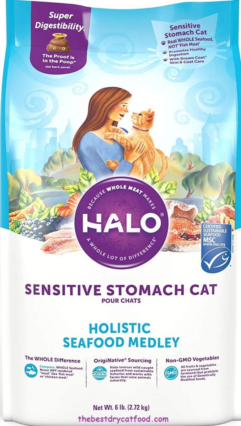 Best Dry Cat Food for Sensitive Stomachs 2024 Reviews & Buyer Guide