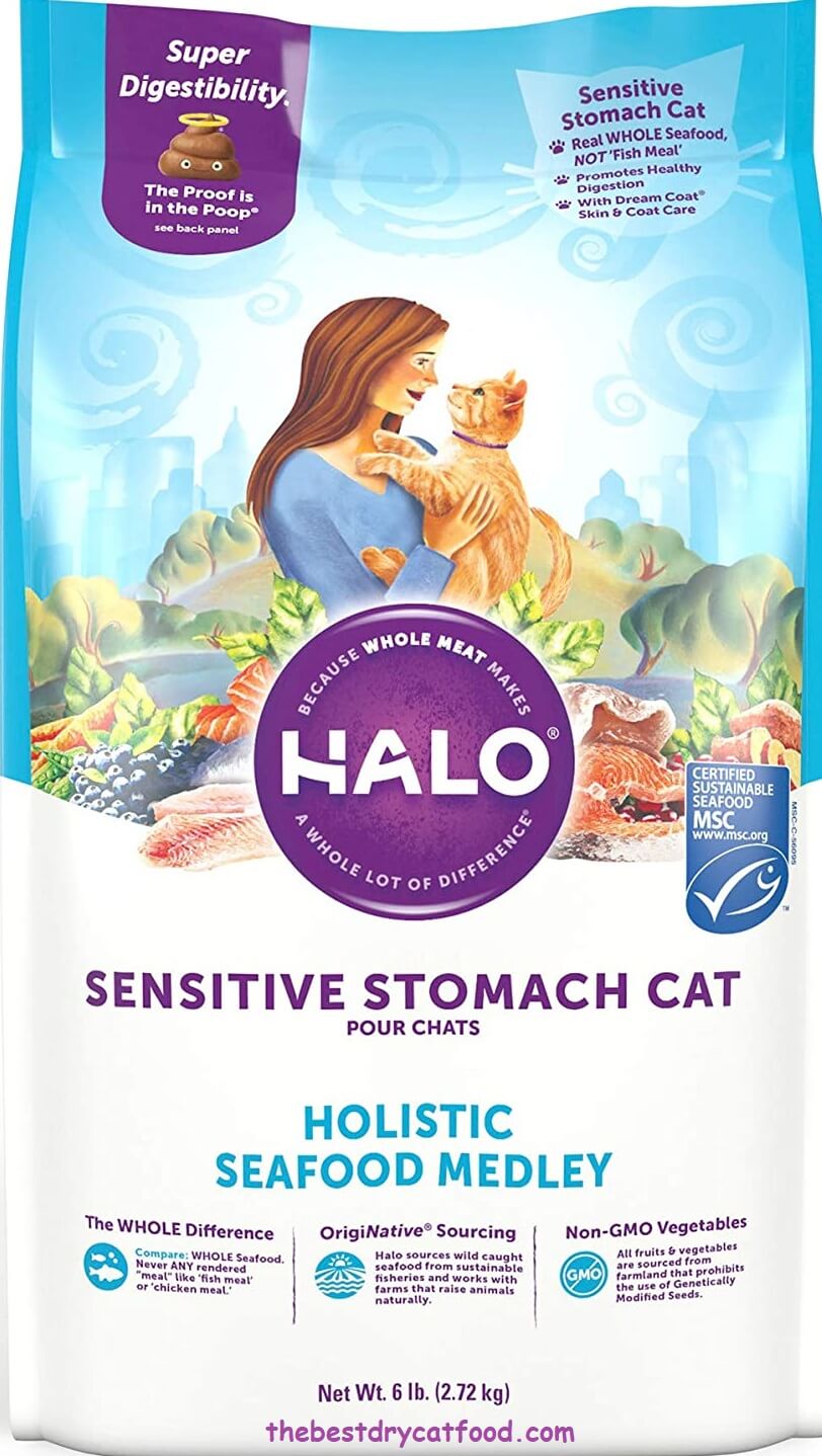 Best Dry Cat Food for Sensitive Stomachs 2024 Reviews & Buyer Guide