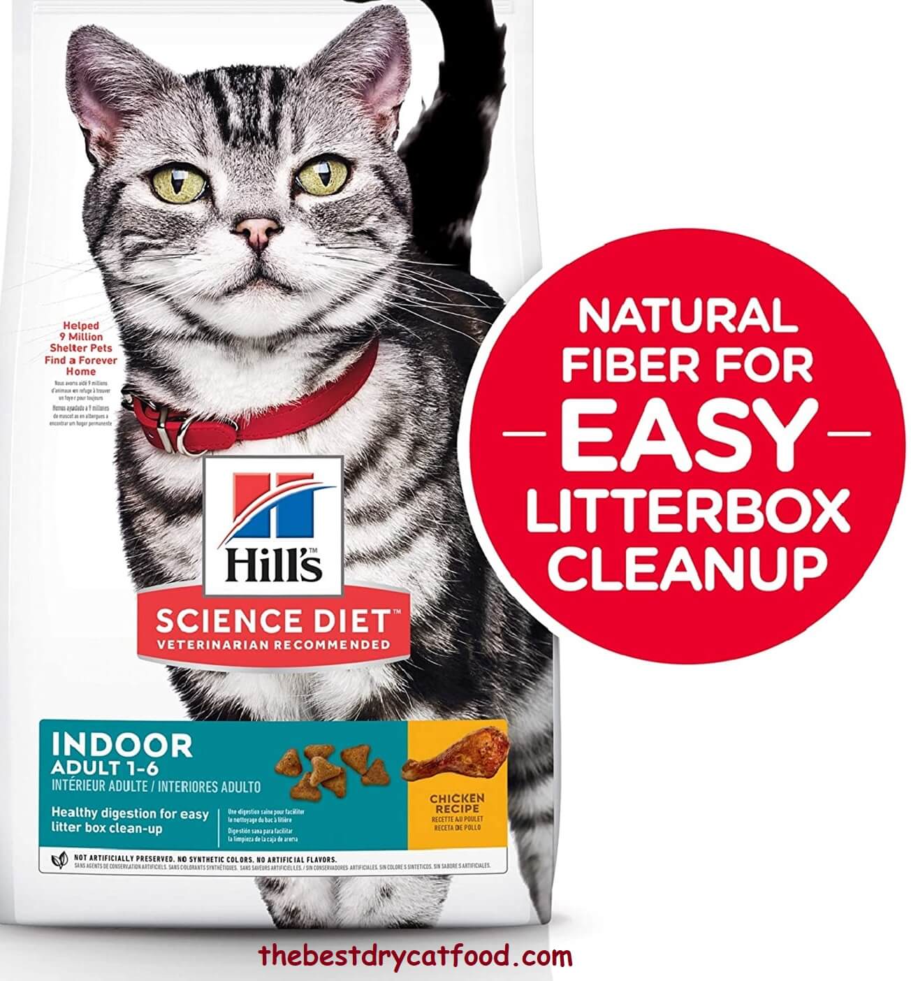 Best Dry Cat Food For Indoor Cats 2022 Latest Reviews Full Buyer Guide