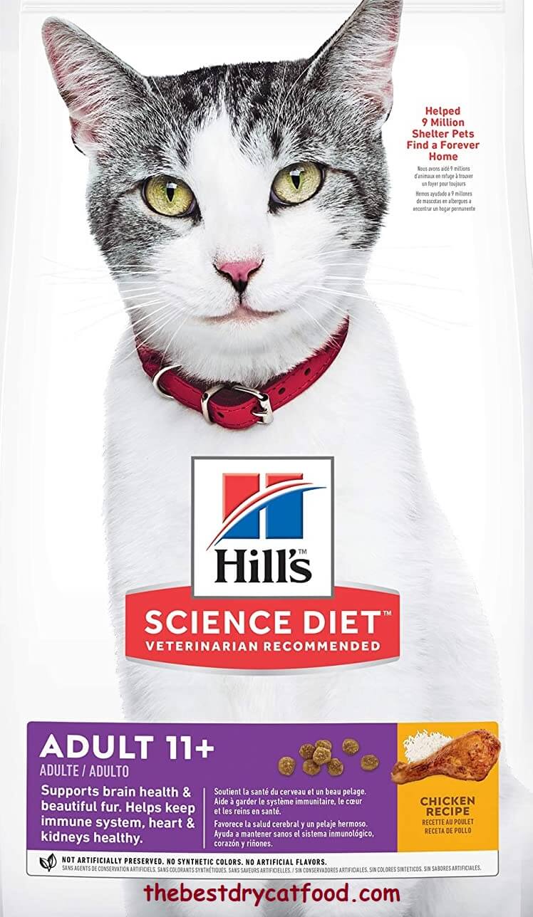 Best Dry Cat Food for Senior Cats 2024 Reviews and Buyer Guide