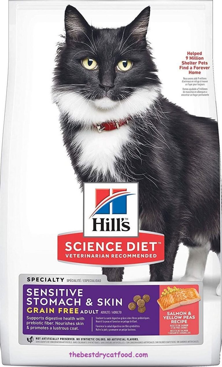 Best Dry Cat Food for Sensitive Stomachs 2024 Reviews & Buyer Guide