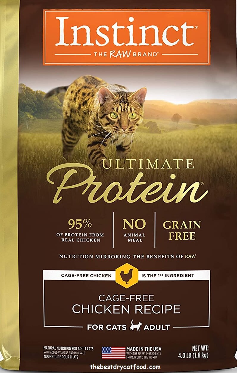 Best High Protein Dry Cat Food 2024 Reviews & Buyer Guide