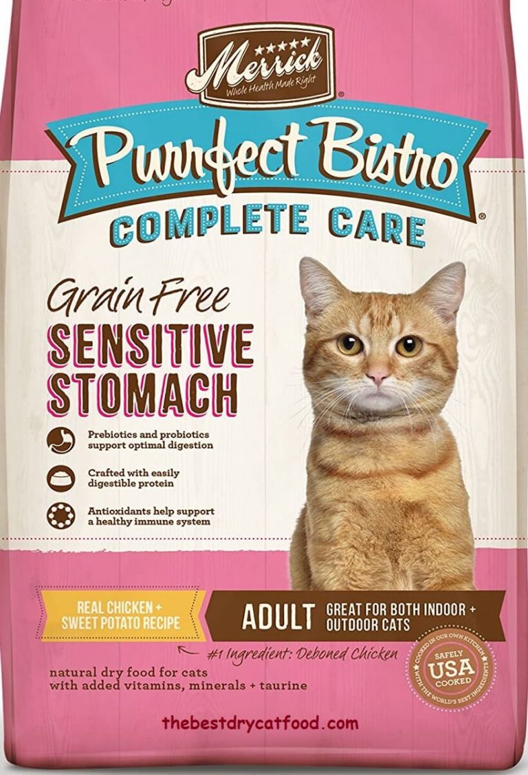 Best Dry Cat Food for Sensitive Stomachs 2024 Reviews & Buyer Guide