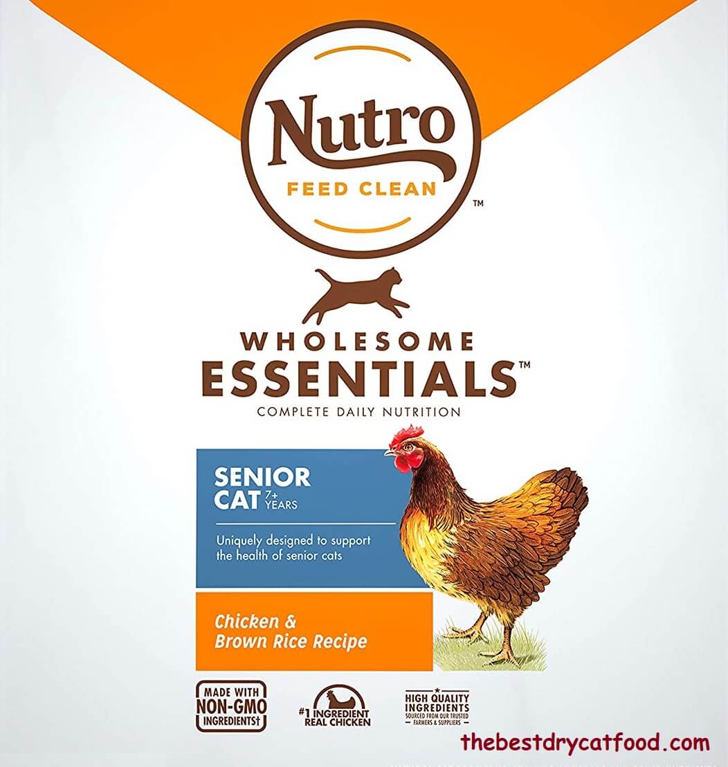 Best Dry Cat Food for Senior Cats 2024 Reviews and Buyer Guide