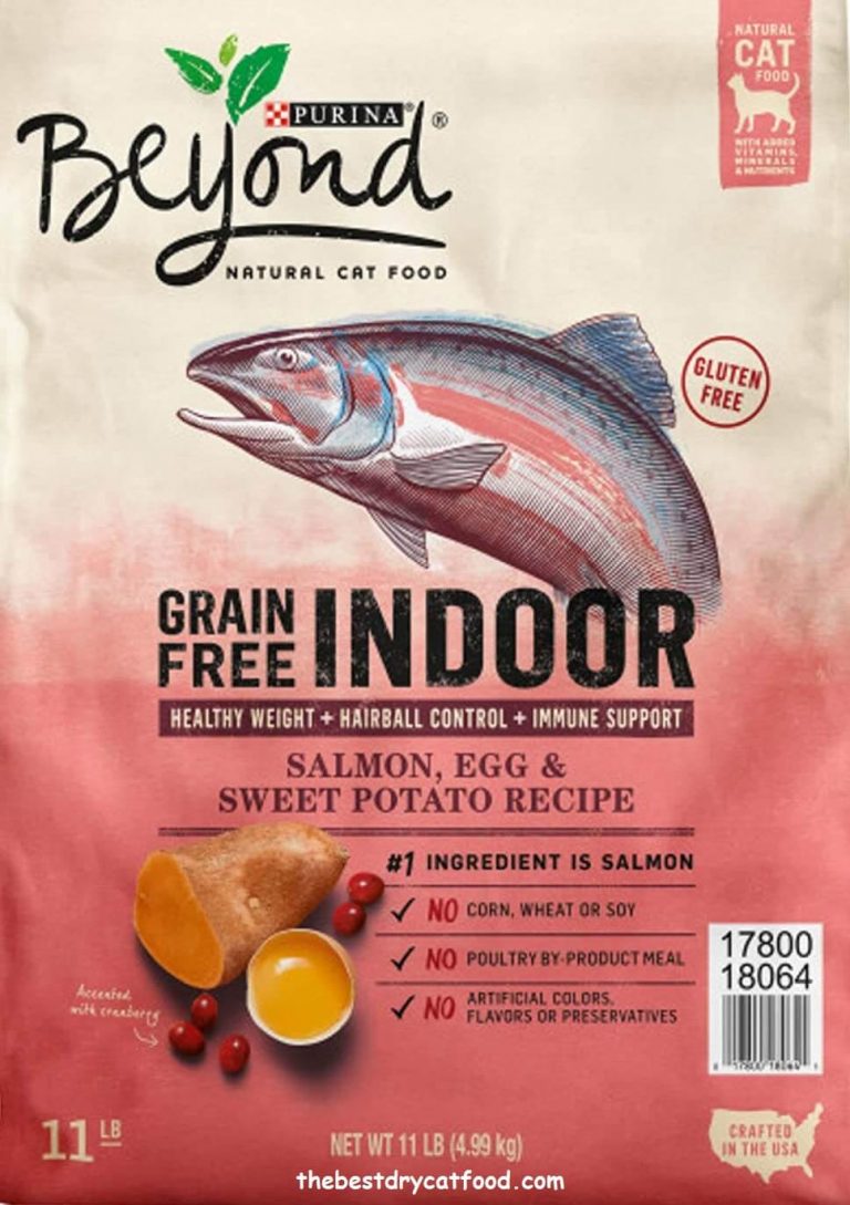 Best Dry Cat Food For Indoor Cats 2024 Latest Reviews Full Buyer Guide