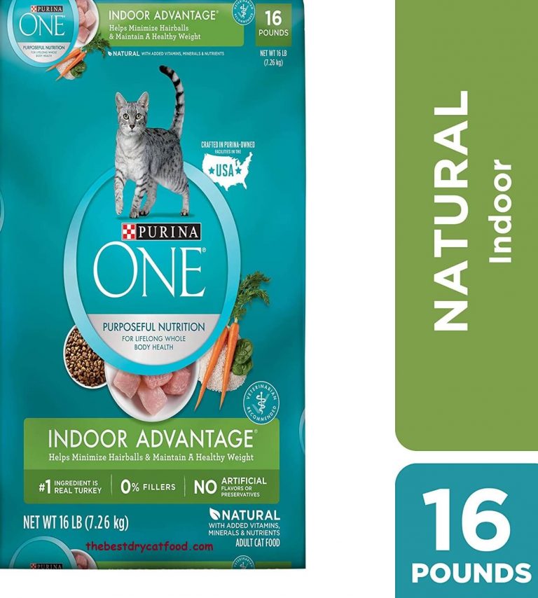Best Dry Cat Food for Indoor Cats 2023 Latest Reviews & Full Buyer Guide