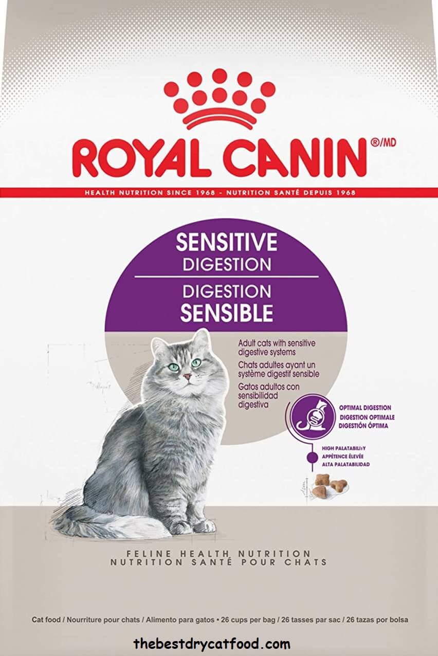 Best Dry Cat Food for Sensitive Stomachs 2024 Reviews & Buyer Guide