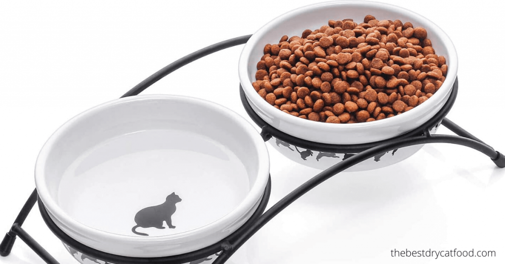 Best Dry Cat Food for Indoor Cats 2024 Latest Reviews & Full Buyer Guide