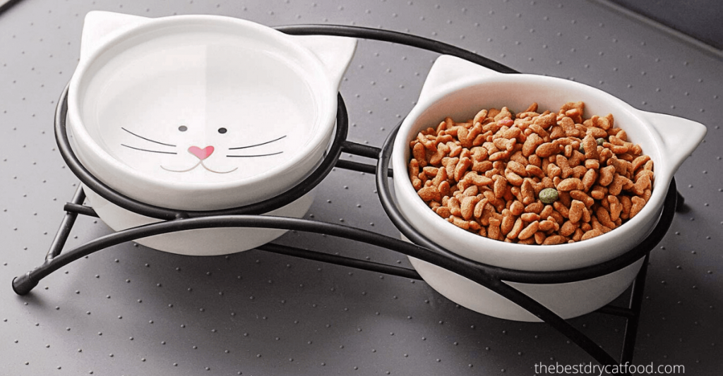 Best Dry Cat Food for Senior Cats 2024 Reviews and Buyer Guide