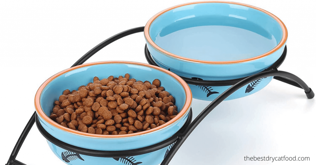 best dry cat food full buyer guide