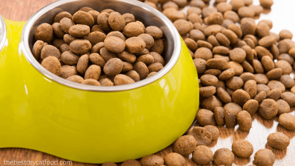 Best Dry Cat Food For Urinary Tract Health Reviews & Buyer Guide