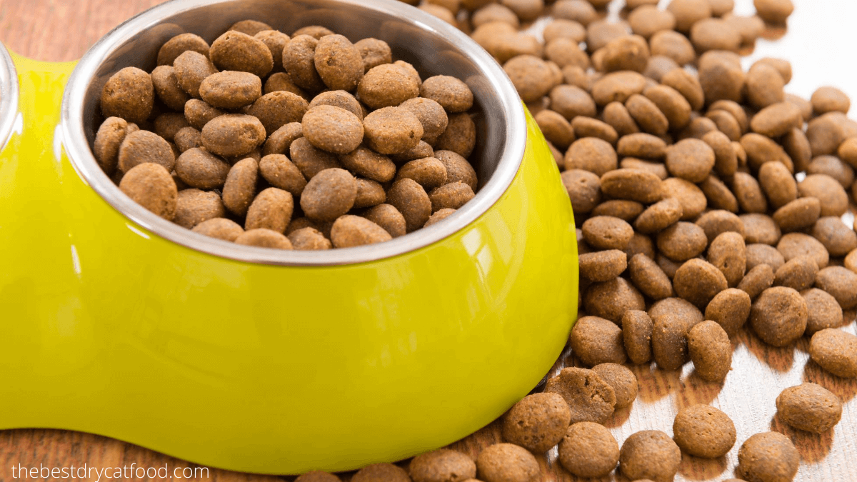 Best Dry Cat Food For Urinary Tract Health Buying Guide