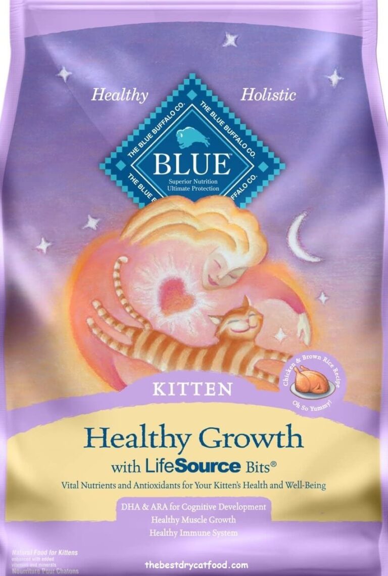 Best Kitten Dry Food 2022 Reviews & Full Buyer Guide