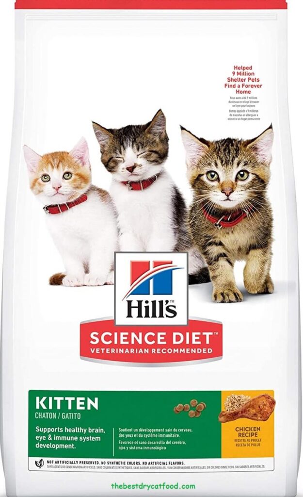 Best Kitten Dry Food 2024 Reviews & Full Buyer Guide