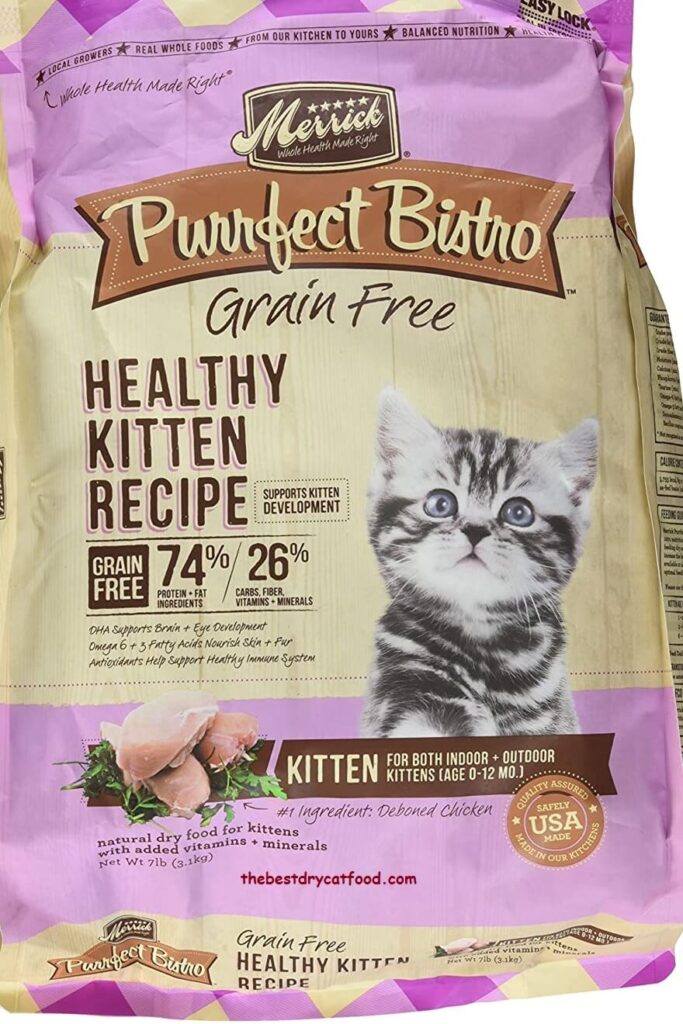 Best Kitten Dry Food 2024 Reviews & Full Buyer Guide