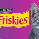 Purina Friskies Dry Cat Food Reviews | Exclusive Analysis