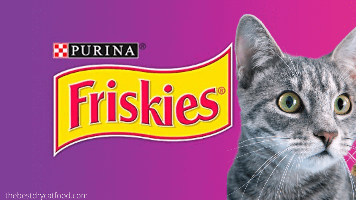 Purina Friskies Dry Cat Food Reviews