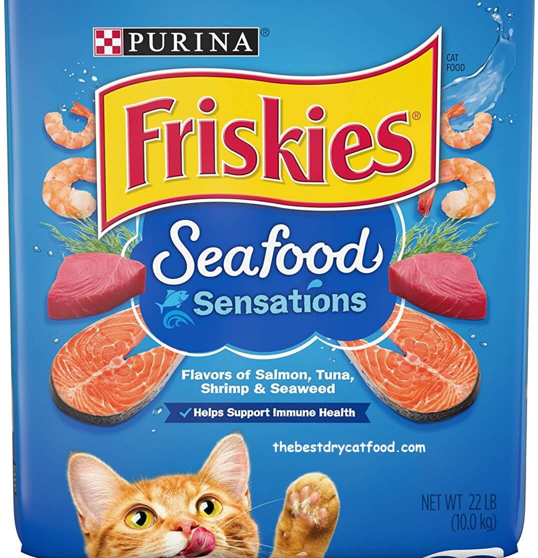 Purina Friskies Dry Cat Food Reviews Exclusive Analysis
