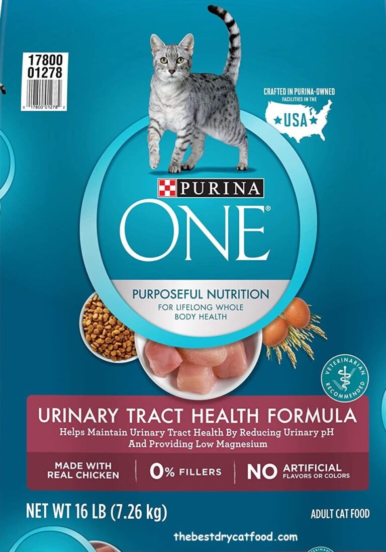 Best Cat Food To Prevent Kidney Stones