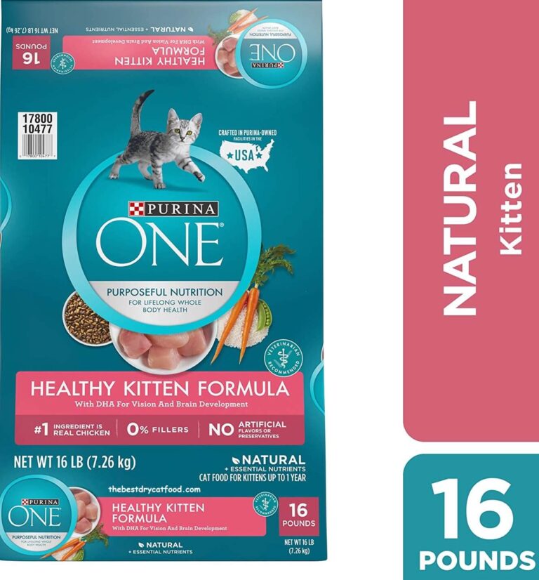 Best Kitten Dry Food 2024 Reviews & Full Buyer Guide