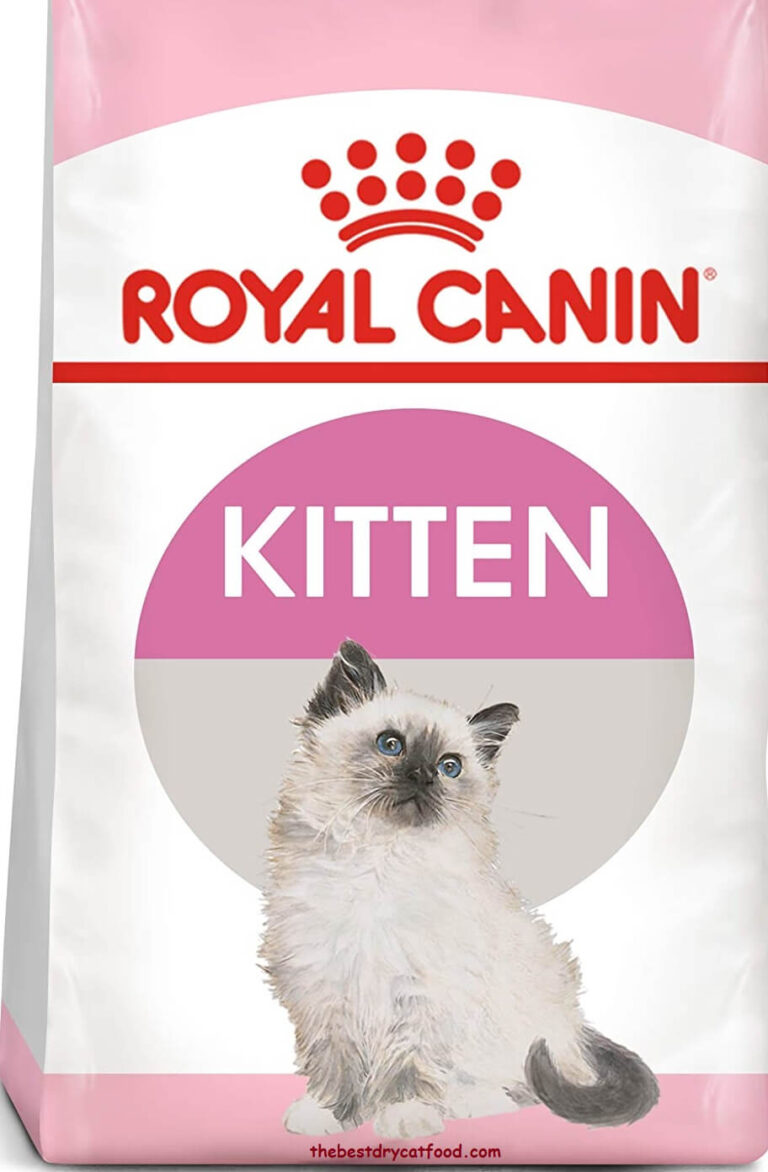 Best Kitten Dry Food 2023 Reviews & Full Buyer Guide