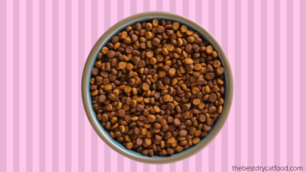 Best Kitten Dry Food 2024 Reviews & Full Buyer Guide