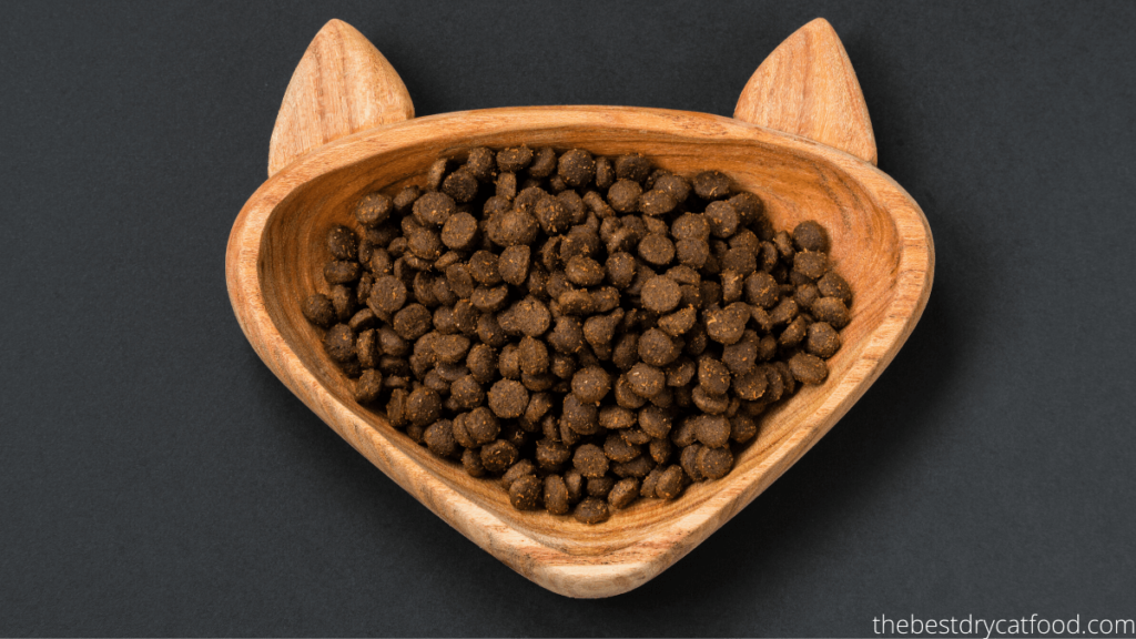 How To Make Dry Cat Food Homemade Tasty Recipe (DIY)