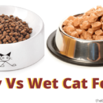 wet versus dry cat food, wet or dry cat food