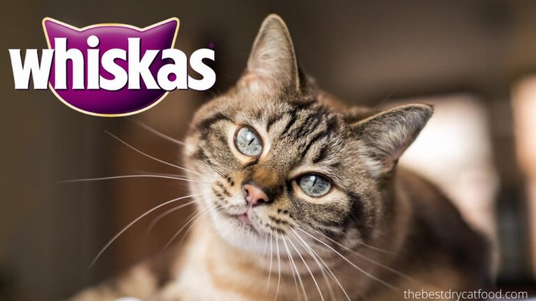 Dry Cat Food Whiskas Brand