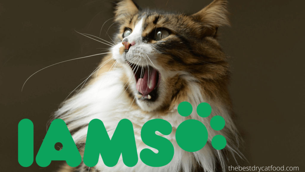 Iams Dry Cat Food Reviews | Exclusive Analysis & Full Buying Guide