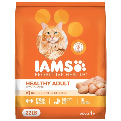 Iams Proactive Health Adult Dry Cat Food — Best Budget Pick for Digestive Sensitivity